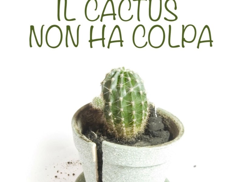 Il cactus non ha colpa – Roberta&nbsp;Marcaccio